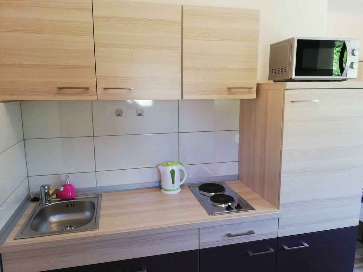 Studio Apartment Palmira Ližnjan Buitenkant foto