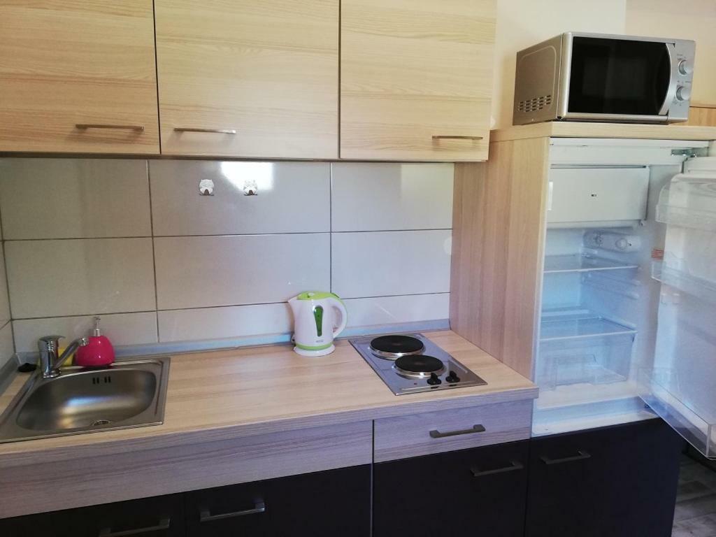 Studio Apartment Palmira Ližnjan Buitenkant foto